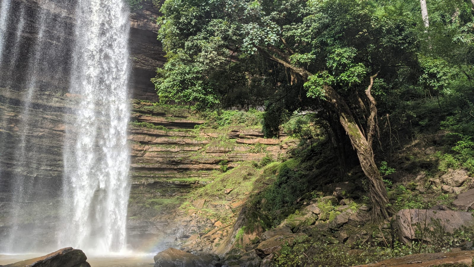 Picture of a tree in front of a waterfall in Ghana