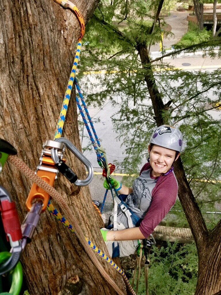 headshot of Erica McCormick climbing a tree