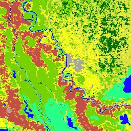 Random thumbnail showing MODIS data across a river drainage